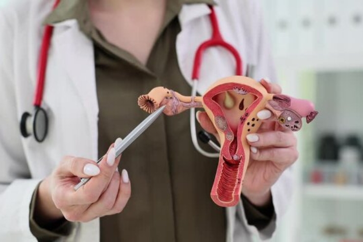 Operative hysteroscopy--------19